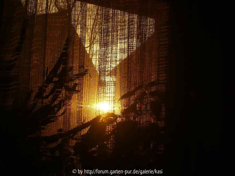 2) Vom Aufgang der Sonne....