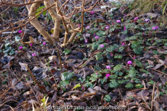 Februar2015_707.jpg