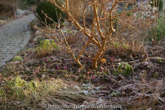 Februar2015_404.jpg