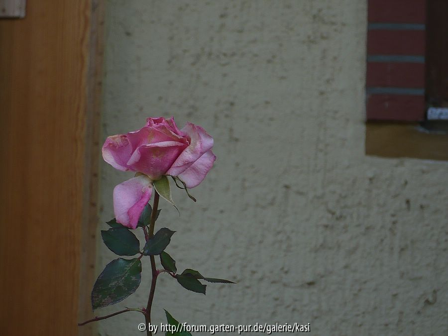 18.Feb.15