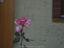 18.Feb.15