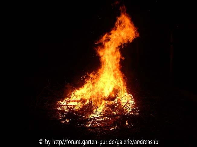 Feuer4
