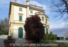 Villa Pallavicino 2015