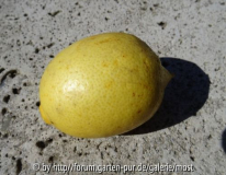 ernte 8 april 15.jpg