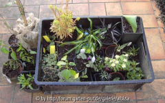 Fette Beute