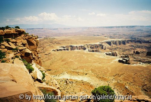 Canyon Land