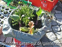 mein "Taschen-Garten"