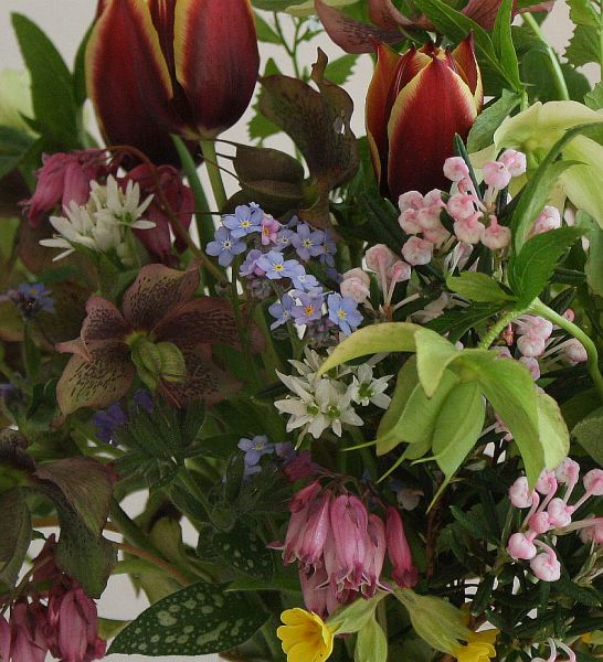 Maiblüten