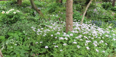 Frühling 2015