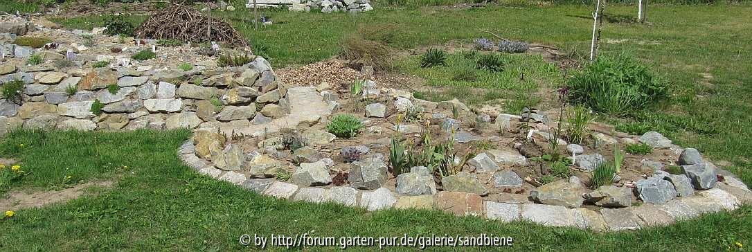 Wiesenbeet 17.Mai 2015
