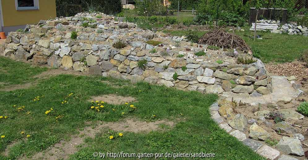 Steingarten am17.05.2015 (3)