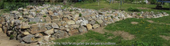Steingarten am 17.05.2015 (2)