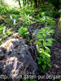 Garten Wiesmet