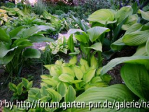 Garten Wiesmet