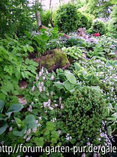 Garten Bias
