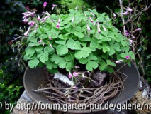 Garten Bias