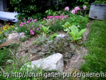 Garten Bias