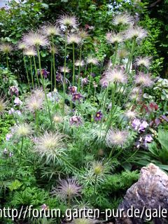 Garten Pirker