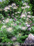 Garten Pirker