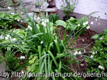 Garten Pirker