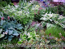 Garten Pirker
