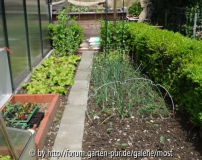 Gemüsegarten.jpg