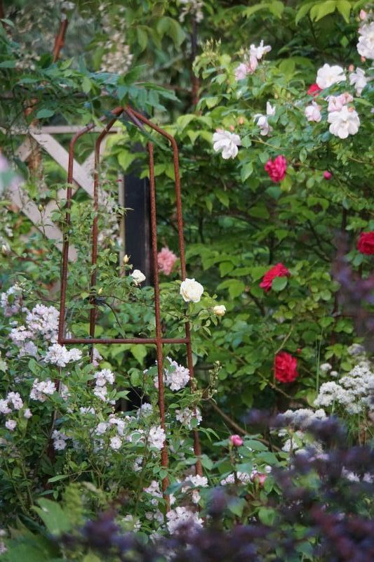 Garten 1 15o615