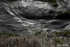 Roettgen 05