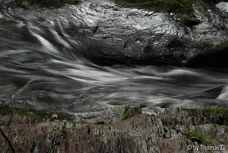Roettgen 06