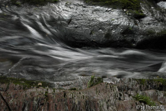 Roettgen 06