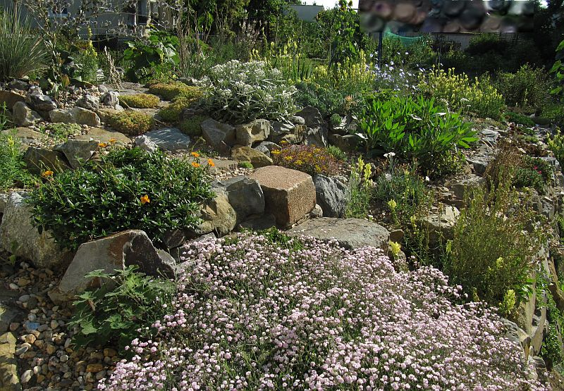 Steingarten am 06.08.2015