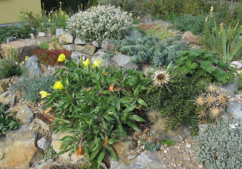 Steingarten am 5. Oktober 2015 (2)
