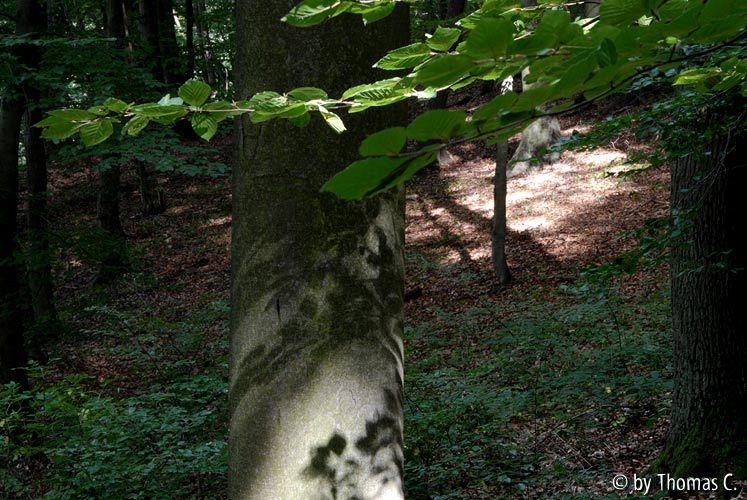 Brohltal 10