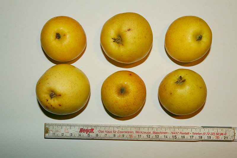 A1