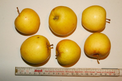 A3