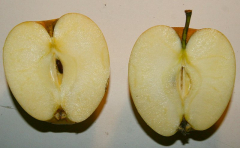 A8