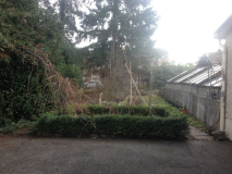 Blick von der Auffahrtsstrasse in Richtung Garten
