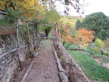 Rosengang Blick nach Osten