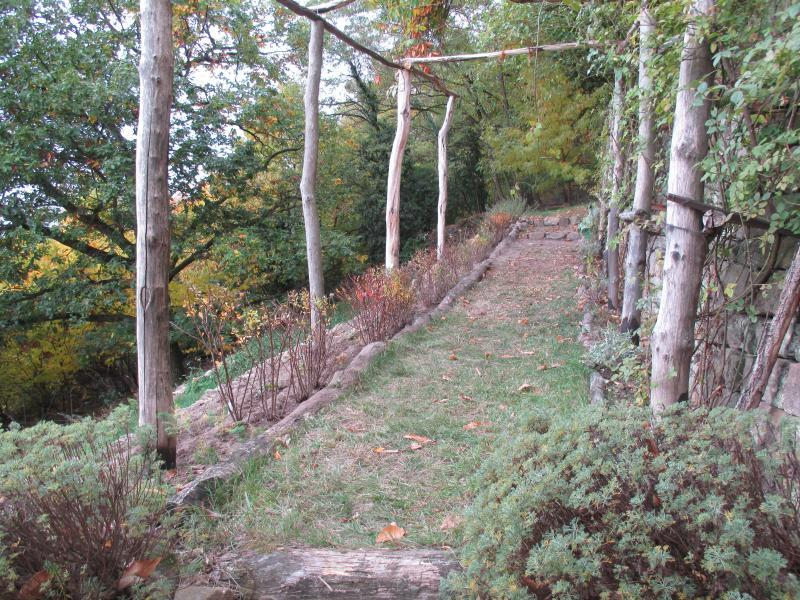 Rosengang Blick nach Westen