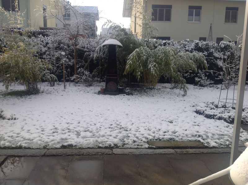 Winterlicher Märzmorgen
