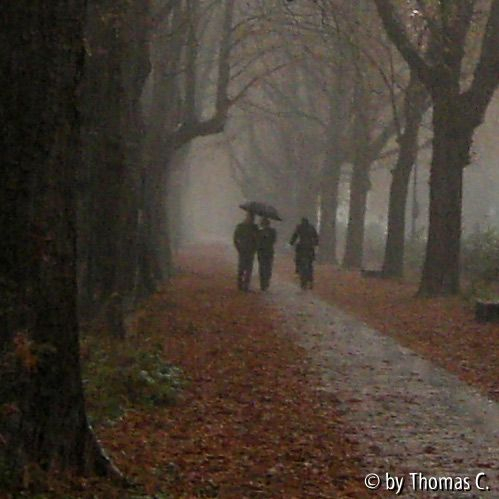 Oktoberregen