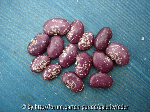 Roter Marmor
