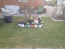 Getopft und gesackt