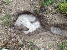 20 Liter Wasser rein