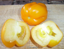 Yellow Stuffer