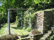 Rosengang 20130620