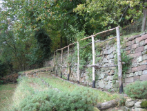 Rosengang 20111010
