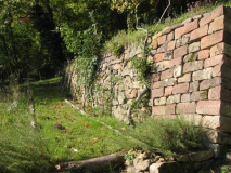 Rosengang  20101021