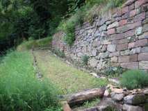 Rosengang 20090608