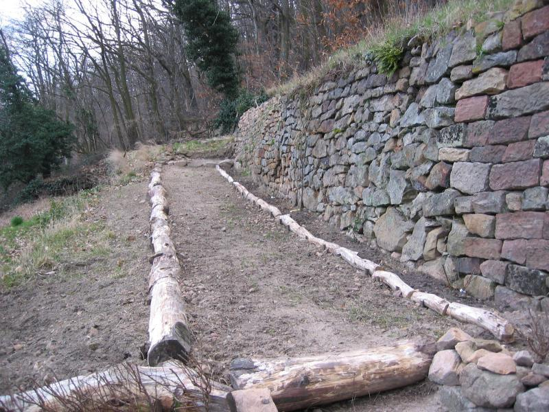Rosengang 20090323